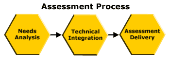 Needs Analysis - Assessment Delivery - Technical Integration